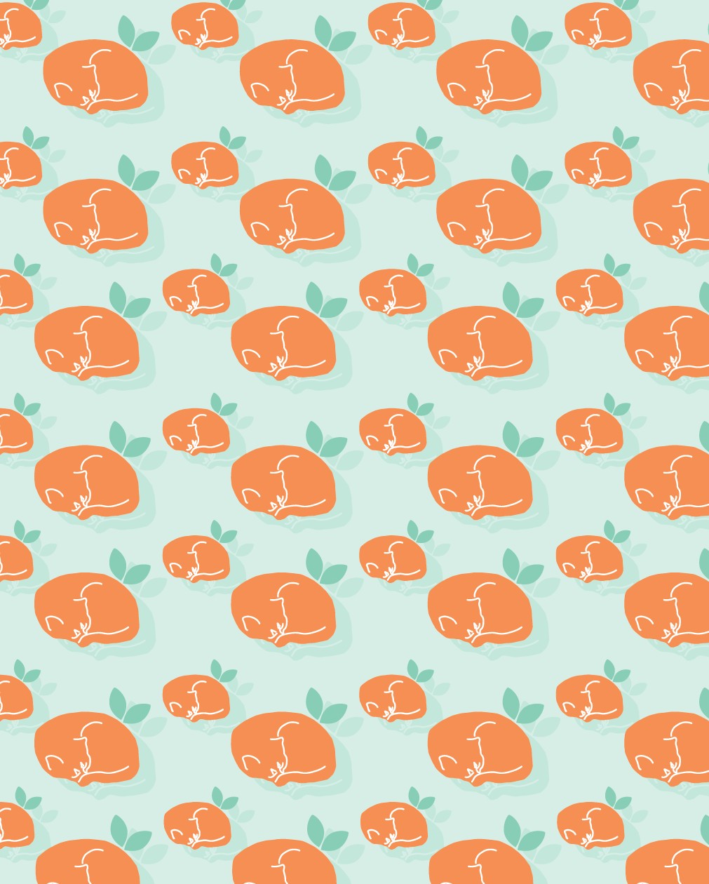 Moo Orange, 2024.